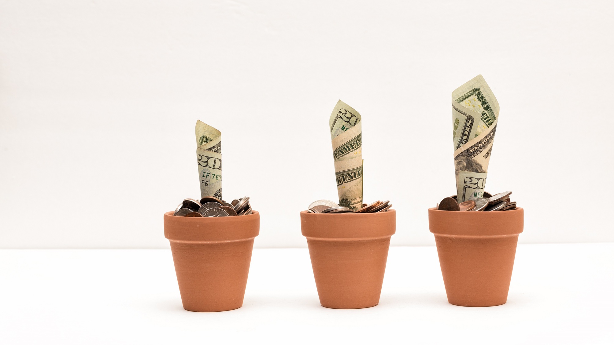 Rolled bills set in clay pots as if they're growing.