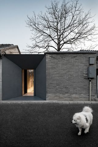 folded courtyard exterior with white dog