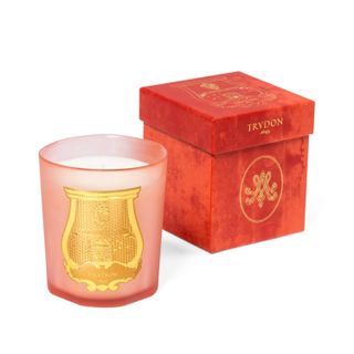 Trudon Tuileries Candle one of the best christmas gifts for mum