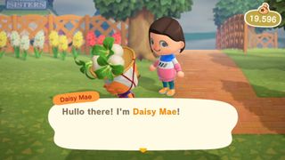 Animal Crossing : New Horizons Daisy Mae