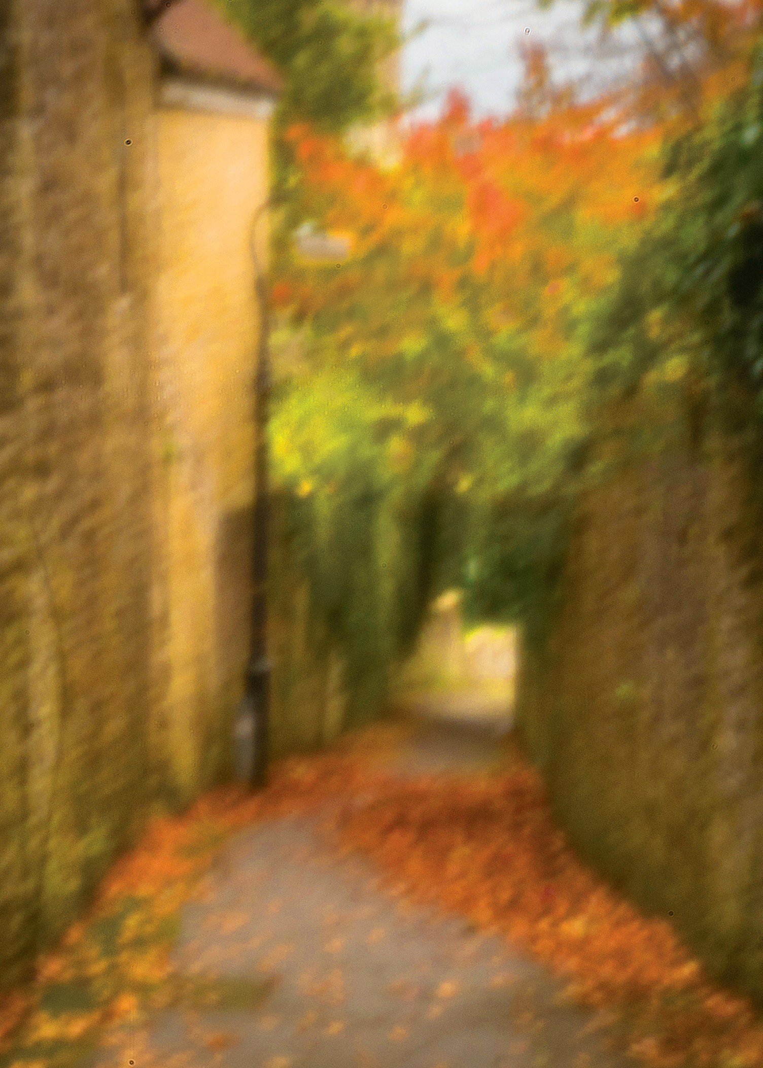 Blurred image of a narrow walkway lined with stone walls and covered in autumn leaves under colorful foliage