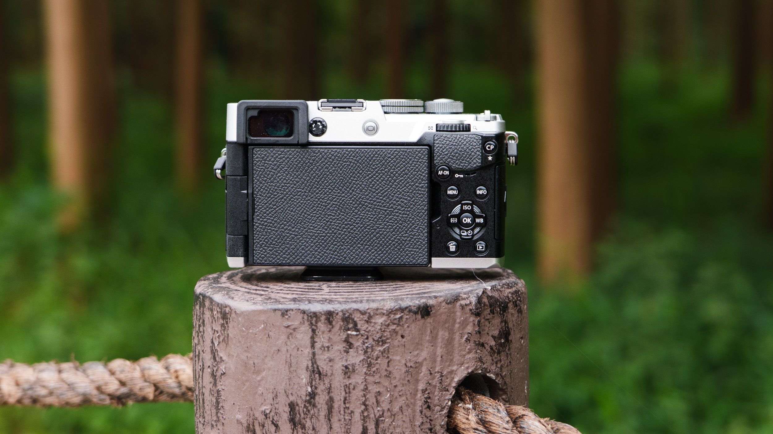 Rearview of the OM System PEN mirrorless camera, its on a wooden post on the edge of a forest in a nature reserve