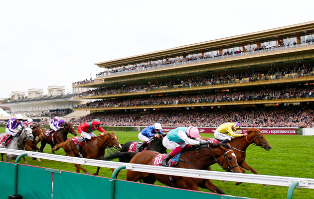 missing ring longchamp