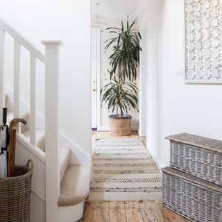 Hallway with white walls, rattan storage boxes and large potted plant