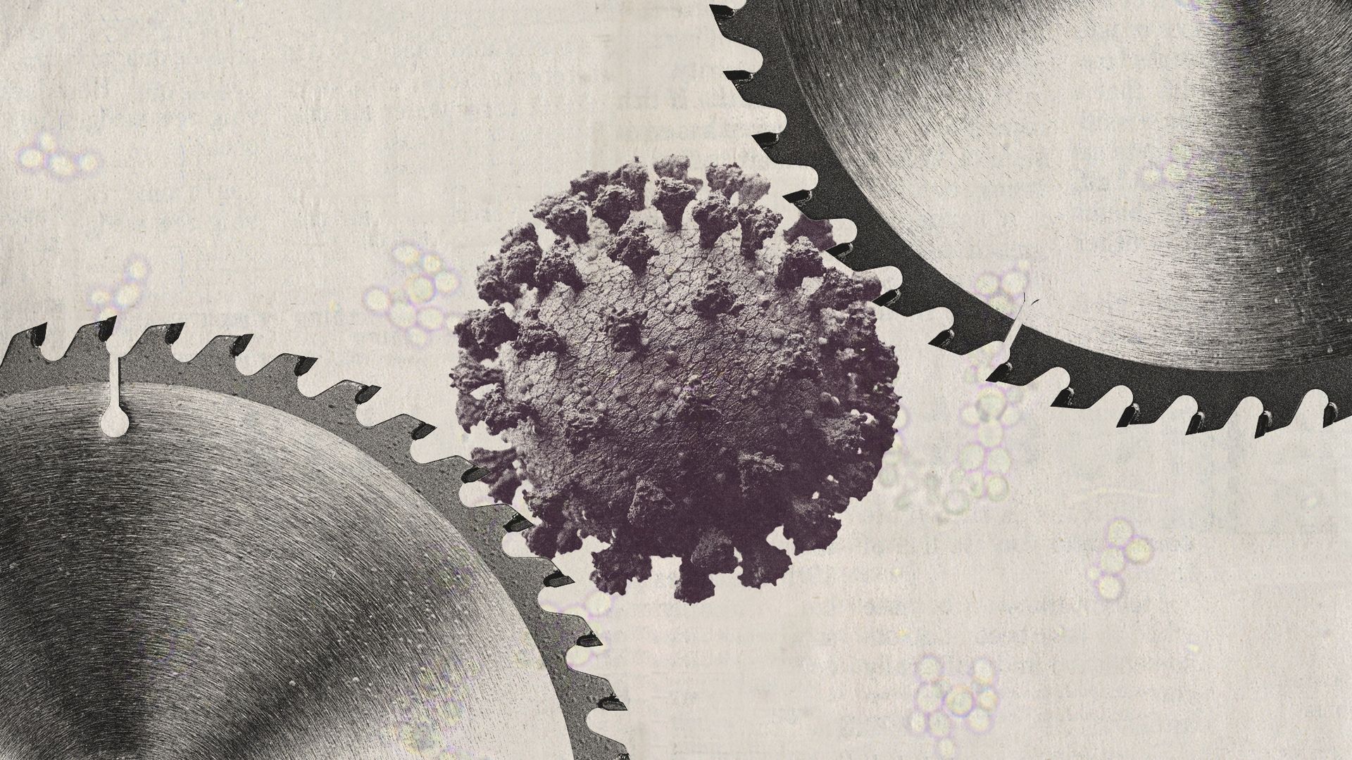 A plastic film can kill viruses on contact | The Week