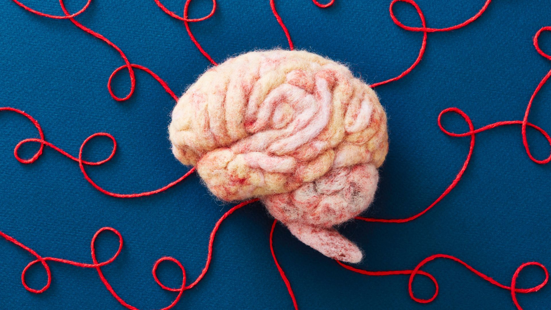Wool brain with wool string coming off, representing how to take care of your brain and brain health