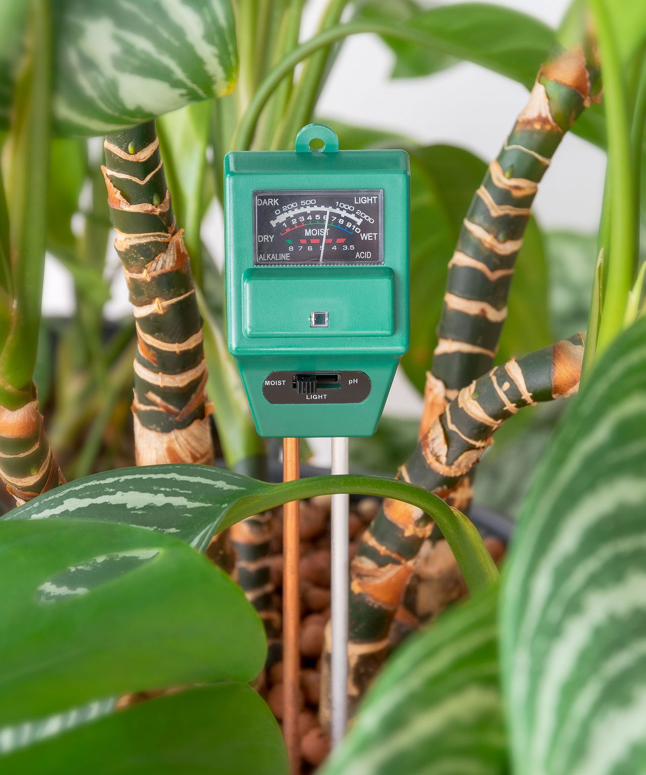 How to test the pH of soil soil pH explained for beginners Homes