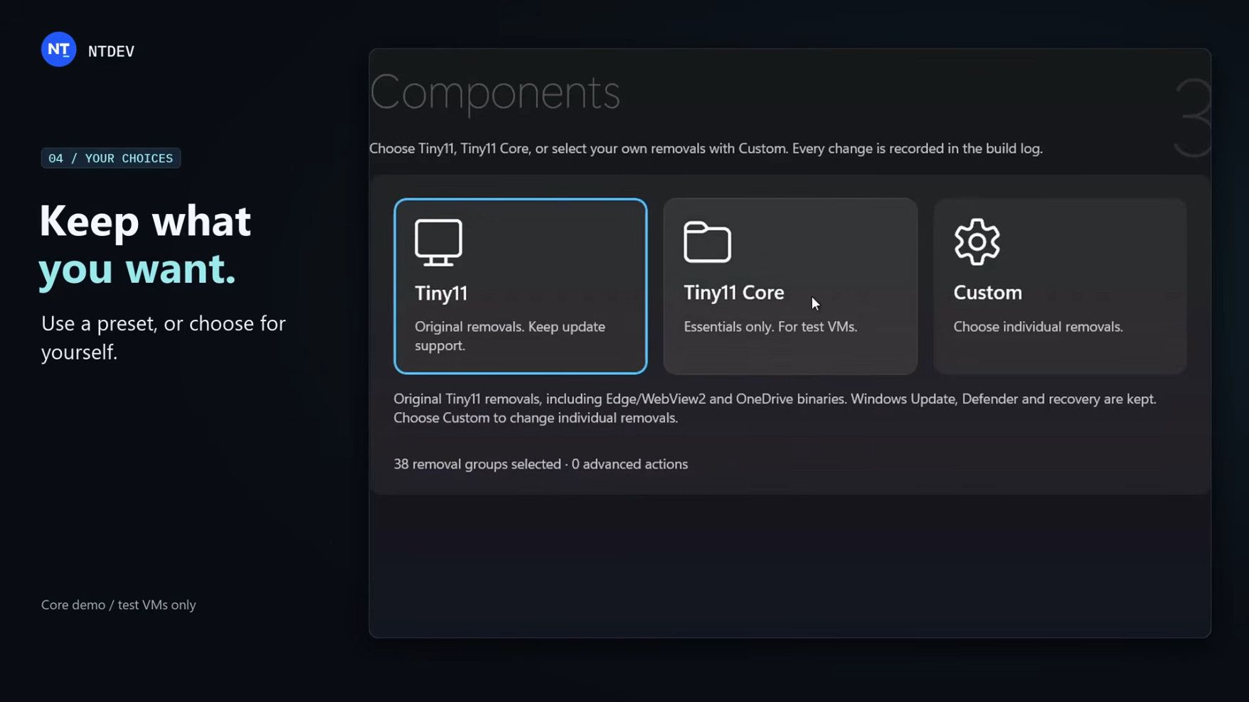 Tiny11 Builder central interface showing the three main choices for a basic build, core install, or custom version