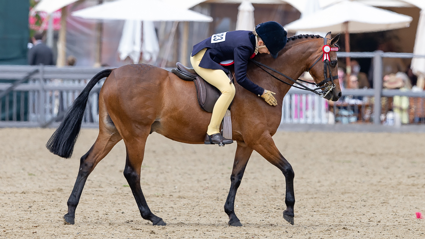 Isabella Walker shows her appreciation to Stoneleigh Showtime after being crowned show pony champions at Royal Windsor Horse Show