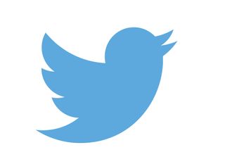 Twitter logo illustrating the brandmark type of logo