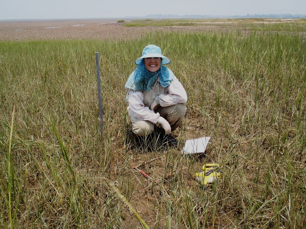 bts, nsf, behind the scenes, national science foundation, EAPSI, invasive species, mangrove trees, tress, forests, Taiwan, Virginia Schutte, food webs