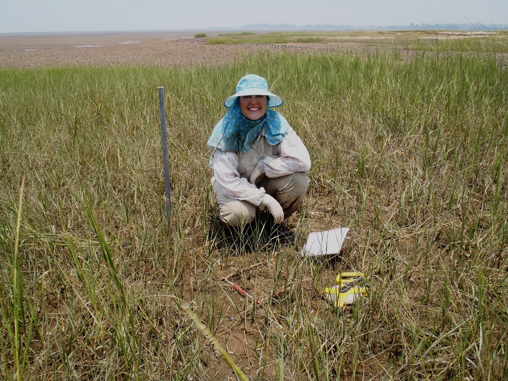bts, nsf, behind the scenes, national science foundation, EAPSI, invasive species, mangrove trees, tress, forests, Taiwan, Virginia Schutte, food webs