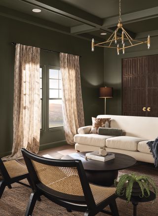 green-grey living room