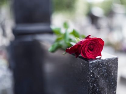 Red Rose On A Grave Stone