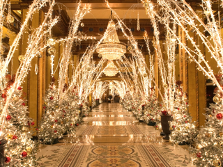 The entrance to The Roosevelt hotel in New Orleans is lit up by dozens of tree branches covered in white lights and Christmas trees