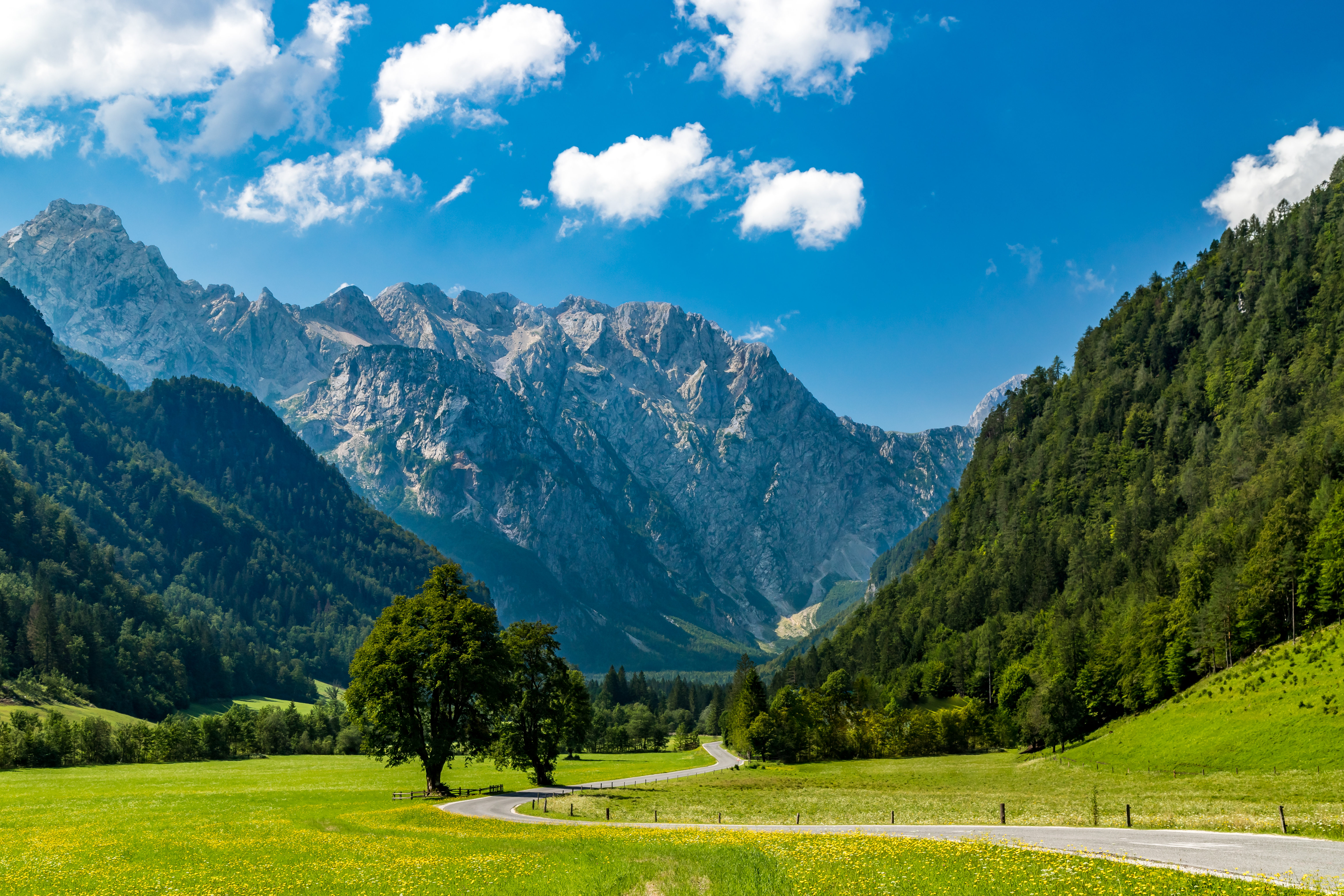 A mountain range in Slovenia with a green meadow in the forefront