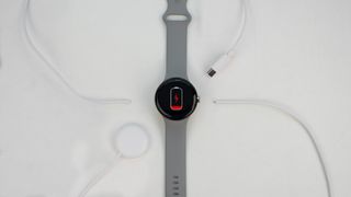 Google Pixel Watch alongside a chewed up charging cable