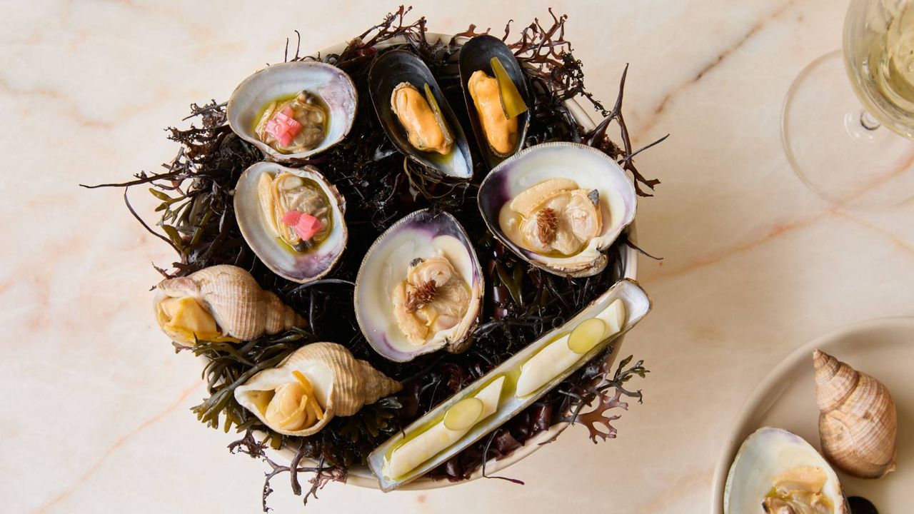 Chelsea’s favourite fishmonger levels up with a new bistro and seafood bar