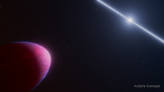 An artist's concept of the exoplanet PSR J2322-2650b (at left) orbiting a pulsar (right)