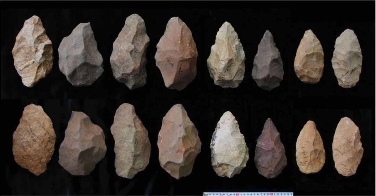 stone-tools-ties-to-rise-of-homo-erectus-human-evolution-live-science