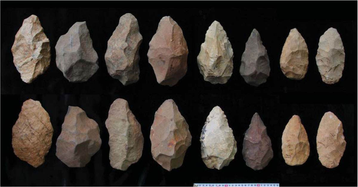 homo habilis tools and weapons