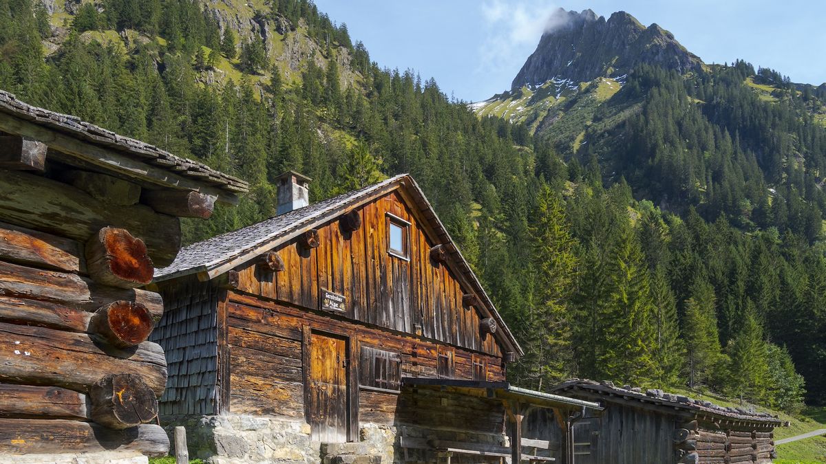 Alpe Gerstrubner Alm in the Allgaeu near Oberstdorf. imount Hoefats in the backgournd. Europe. Central Europe. Germany. Bavaria