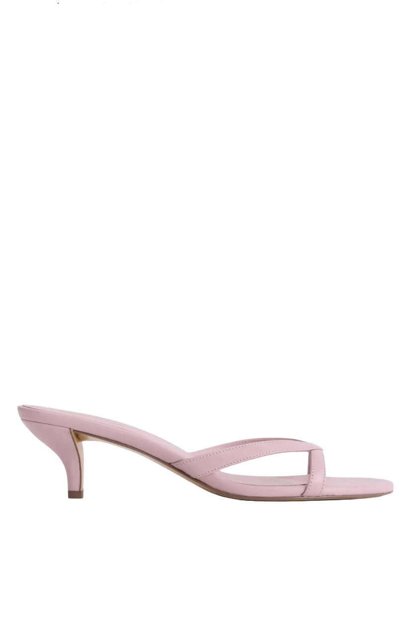 Everlane