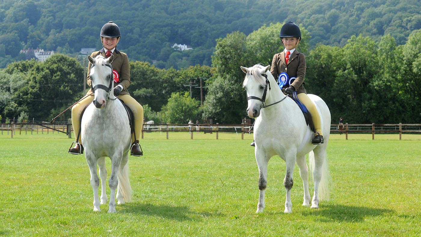 NPS summer championships