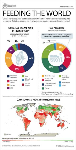 Climate change threatens to reduce crop yields in much of the world. (See full infographic)