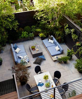 Backyard Envy’s James DeSantis versatile planting tips | Homes & Gardens