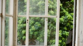 A window looking out to greenery