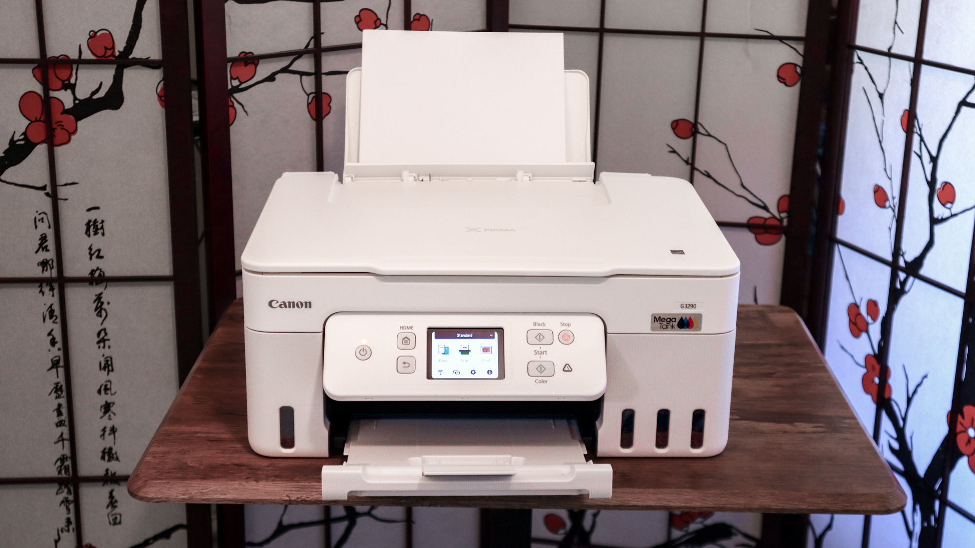 Canon MegaTank Pixma G3290 review unit in action