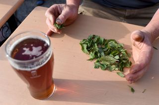 World Stinging Nettle Eating Championship