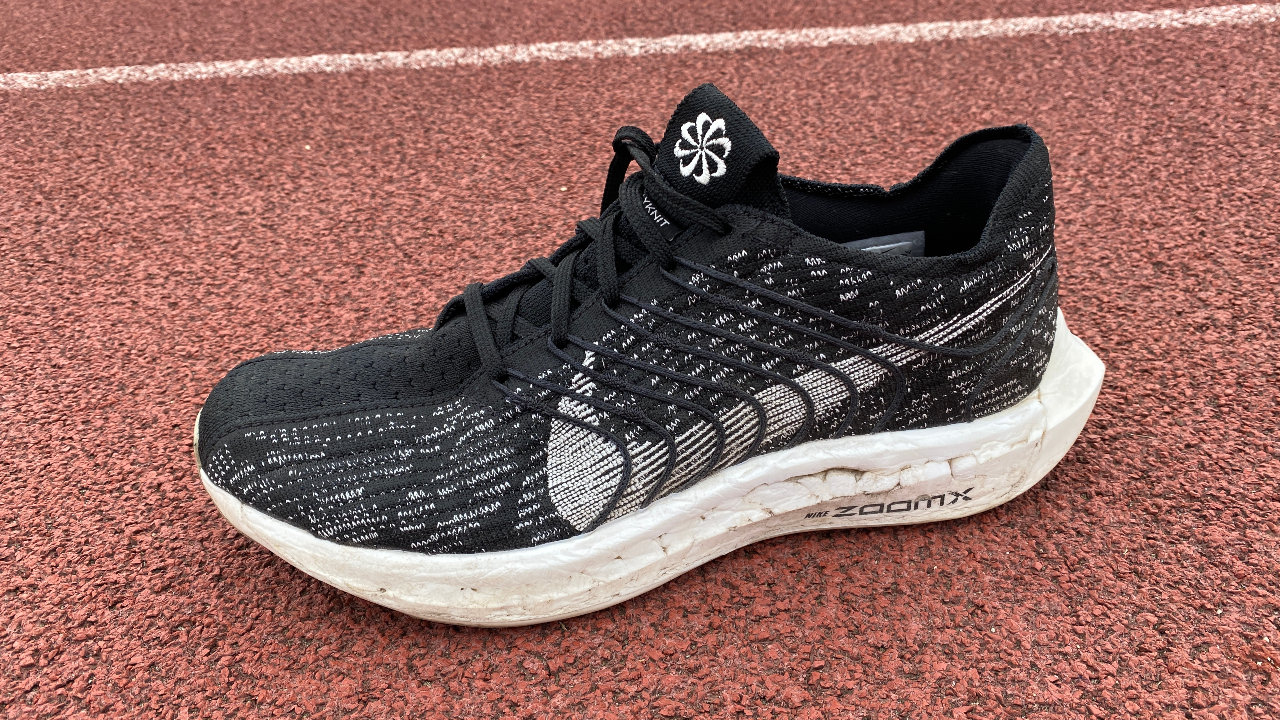 Nike Pegasus Turbo Next Nature Review | Coach