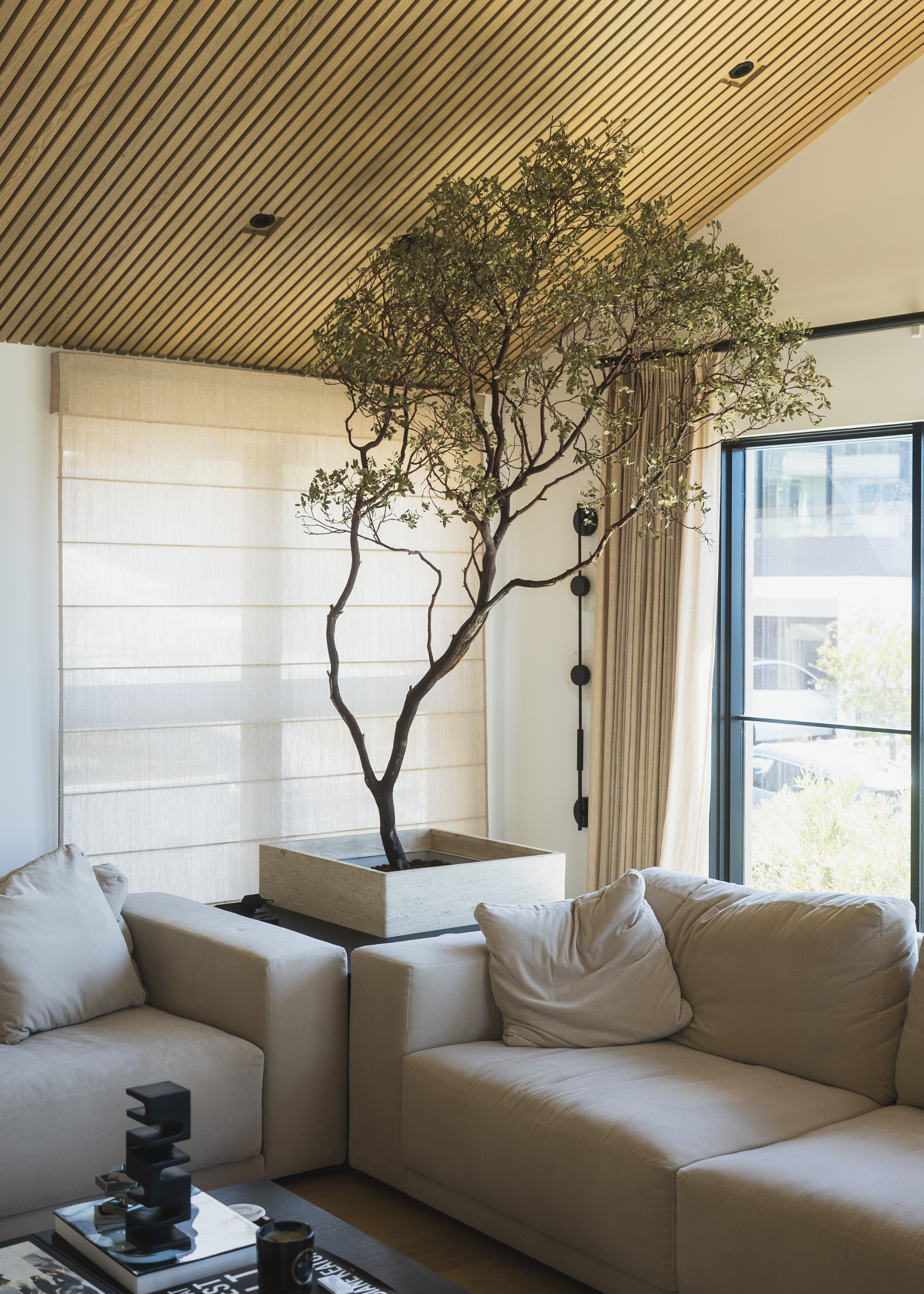 A corner of a living room with cream sofas that has a large indoor tree in a large square pot next to a black-framed window with cream floor-length curtains
