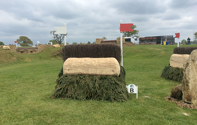 Badminton Fences 2017