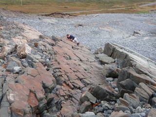 scientist photographs animal fossils in Newfoundland.
