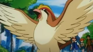 Pidgeot in Pokemon.