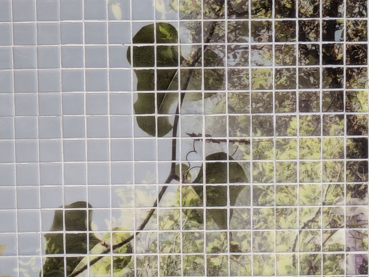 Google Pixel 8a camera sample photo of a tile mosaic with leaves