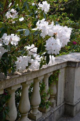 Exbury Gardens, Hampshire. Credit: Alamy