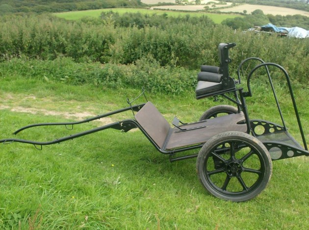 Hillam carriage with removable backstep