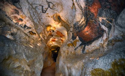Sn hetta s New Cave Painting Centre Reveals Lascaux s Masterworks sn-hetta-s-new-cave-painting-centre-reveals-lascaux-s-masterworks