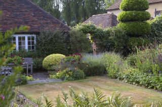 cottage garden borders with topiary