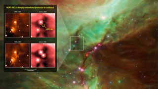 Outburst of a young protostar in Orion