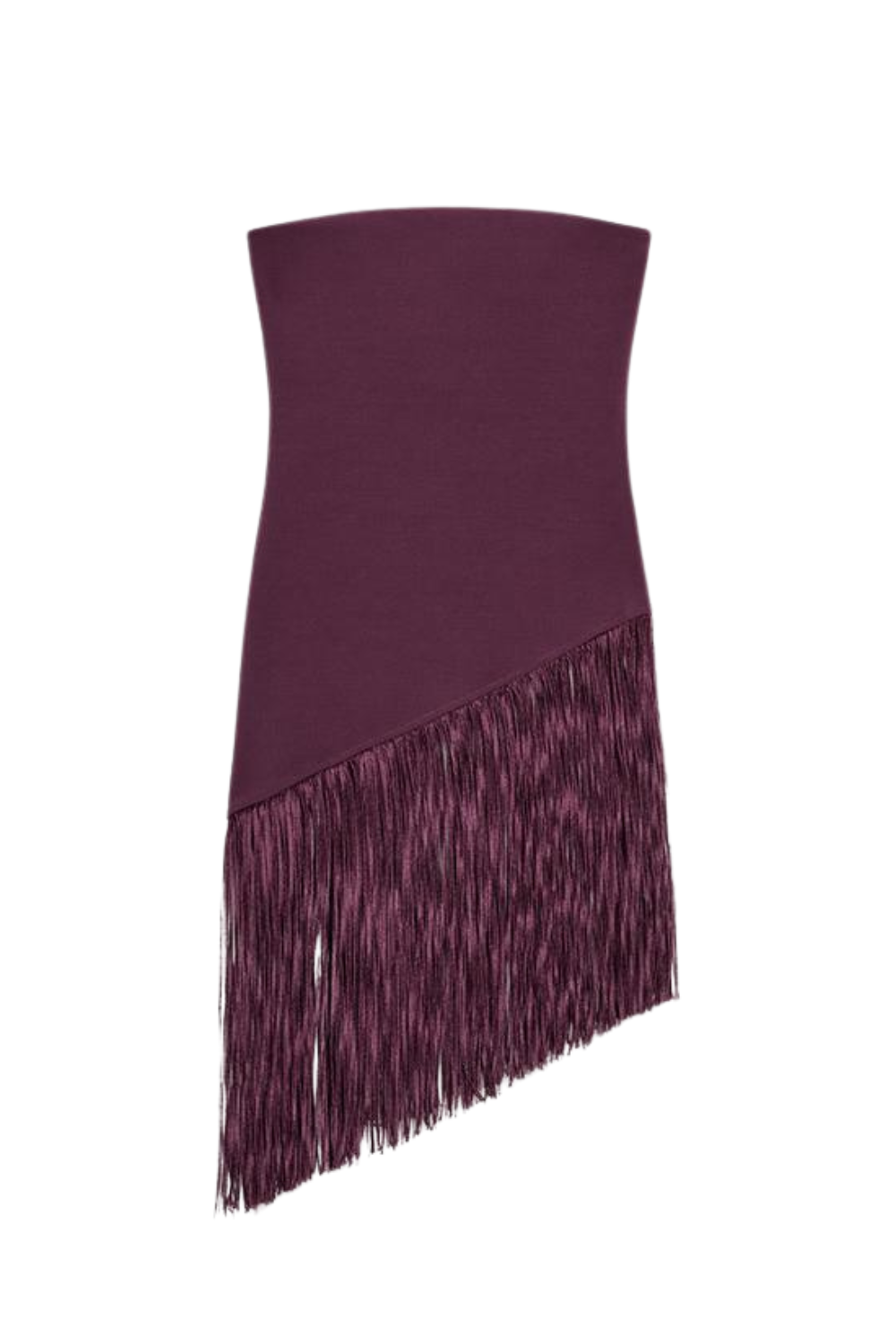 Fringed Stretch Bandeau Top