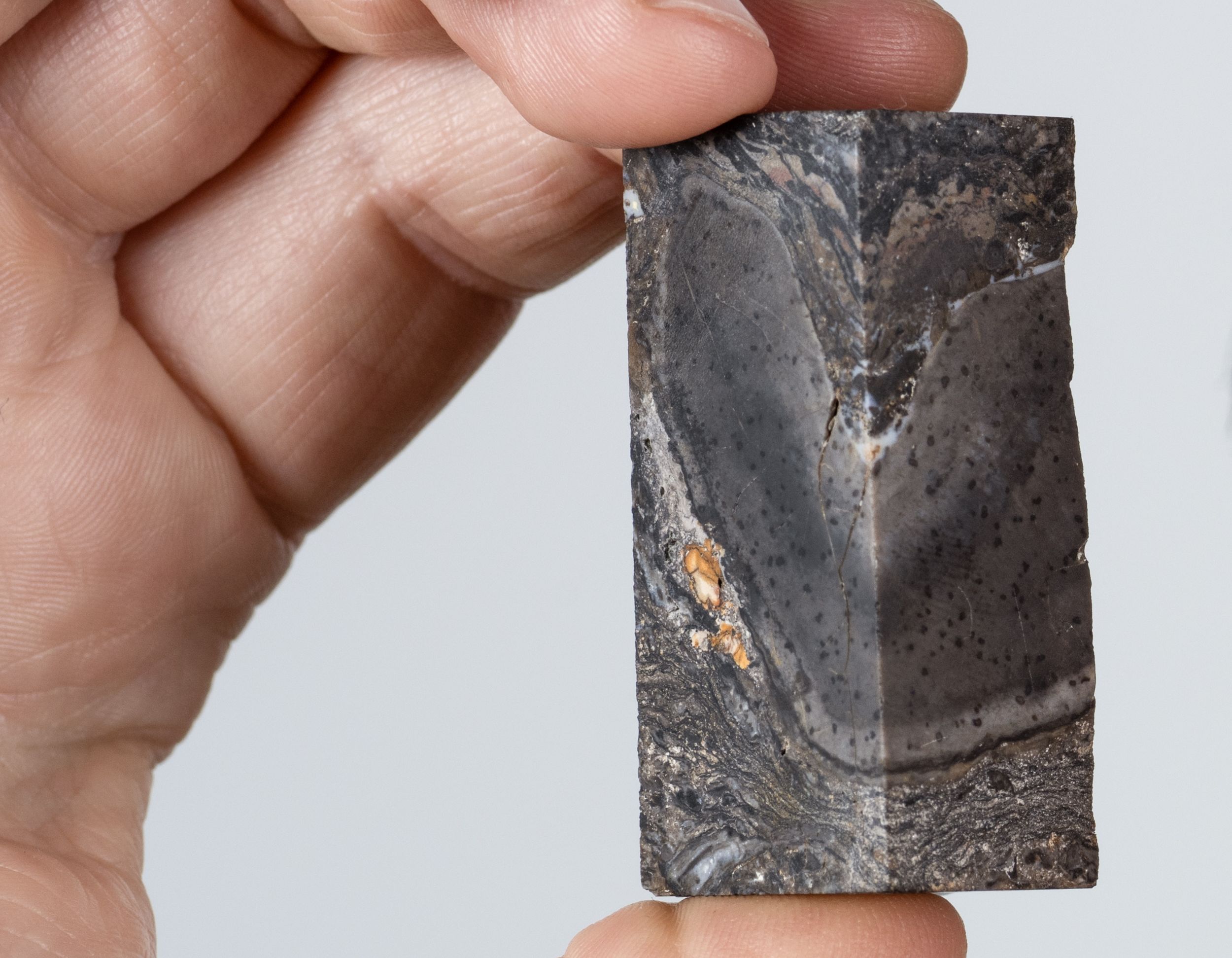 a cubed fossil held in a hand