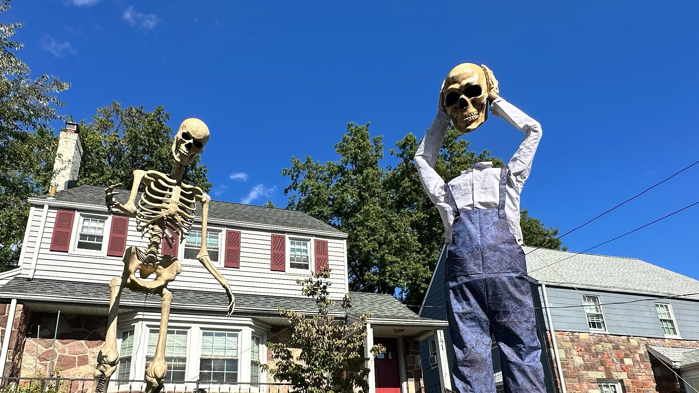 Home Depot and Lowe's skeletons