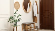 Neutral entryway with brown door and potted plant