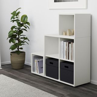 white wall with shelving unit and plant on pot with books and boxes
