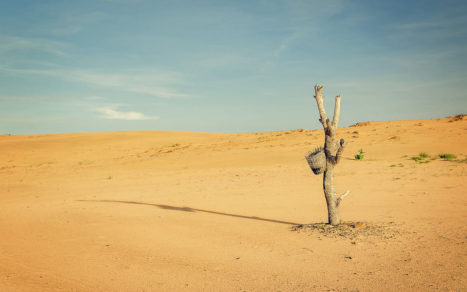 The Sahara Desert Is Growing Here S What That Means Live Science